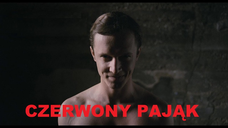 [SERIAL] Polityka horizontal poster